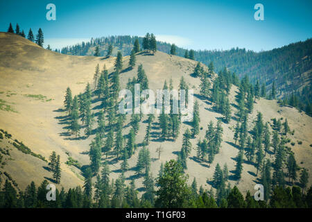 Ein Blick auf eine krasse Berg mit einer Streuung von Pinien in Western Montana, USA Stockfoto