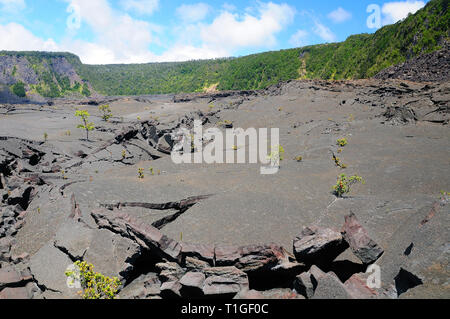 Risse Lava in der Kilauea Iki Krater in Hawaii Stockfoto