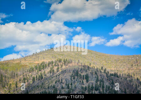 Ein Big Sky Country View von blauer Himmel mit weißen Wolken Puffy auf einer Bergspitze in Western Montana, USA Stockfoto