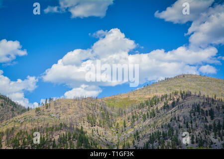 Ein Big Sky Country View von blauer Himmel mit weißen Wolken Puffy auf einer Bergspitze in Western Montana, USA Stockfoto