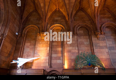 Pfau und Concorde. Anzeige im Smithsonian, Washington, DC Stockfoto