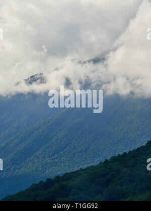 Hohe grüne Berge mit Gipfeln in dicken Wolken. Grüne Vegetation in den Bergen im Sommer. Stockfoto