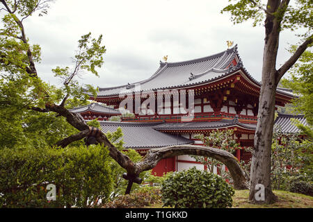 Dem Byodoin-schrein Tempel gegen einen Teich in der Nähe von Uji, Kyoto, Japan widerspiegelt Stockfoto