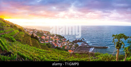 Hängen oberhalb von Seixal bei Sonnenuntergang, mit Rebsorten auf den vulkanischen Terrassen mit Blick auf den Ozean angebaut Stockfoto