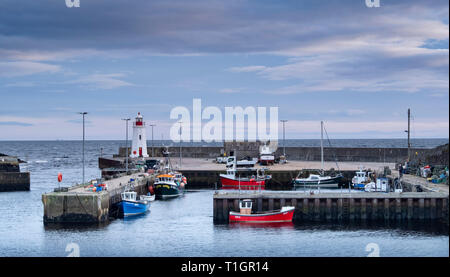 Lybster Hafen, Caithness, Scottish Highlands, Schottland, UK Stockfoto