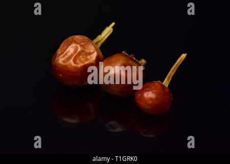 Red Hot Chili Chiltepin Stockfoto