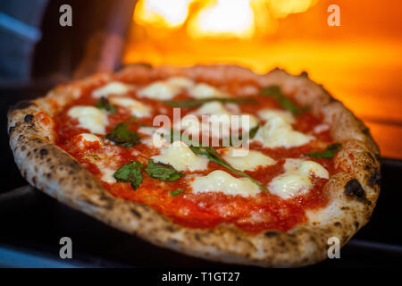 Holzofen Pizza. Authentische italienische neapolitanischer Holzofen margherita Pizza aus dem Holzofen. Selektiver Fokus Stockfoto