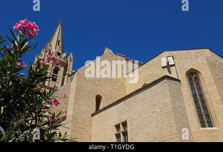 Die Kollegiale Kirche Saint Laurent ist ein ausgezeichnetes Beispiel des französischen Meridionale gotischen Stil. Salon-de-Provence, Frankreich Stockfoto