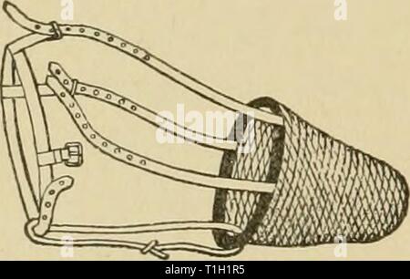 Krankheiten des Hundes und Krankheiten des Hundes und ihre Behandlung diseasesofdogthe 01 ml Jahr: 1897 284 Erkrankungen der Knochen und Gelenke. Durch den Coronoid Prozeß Druck auf dem hinteren Teil des Auges, bauchigen, wodurch das, was eine unvollständige prolapsus von diesem Organ benannt werden konnte. Andere Symptome sind Speichelfluss, große Schmerzen, rest-lessness, Blaufärbung der Zunge. (Für die Differentialdiagnose der Lähmung der Unterkiefer, siehe Erkrankungen des Mund.) Therapeutische Behandlung. Nach Stockfleth, der ani-mals muss von einem Helfer gehalten. Die beste Methode ist, um ihn zu halten zwische Stockfoto