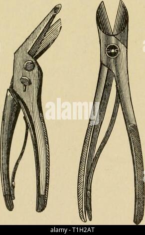 Krankheiten des Hundes und Krankheiten des Hundes und ihre Behandlung diseasesofdogthe 01 ml Jahr: 1897 296 Erkrankungen der Knochen und Gelenke. Abb. 65. Fällen wird es notwendig, eine vorübergehende Schiene Vorrichtung für ein paar Tage zu übernehmen. Diese Schiene Gerät muss dort eingesetzt werden, wo es große Schwellung oder wenn der Zustand der Wunde oder Teil sie führen würde viel Schwellung zu erwarten. Der Autor findet die beste Sache für diese Behandlungen ist ein breites Pappe Schiene. Diese sollten in Wasser eingetaucht werden und durch die Hand geknetet, bis flexibel. Es gibt verschiedene andere Materialien für die Herstellung von Schienen-guttapercha Stockfoto