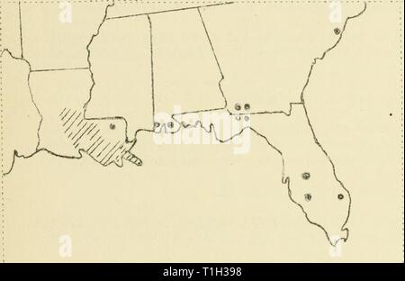 Krankheiten aus Baumwolle, Zuckerrohr, Baumwolle, Zuckerrohr, Wald, Bäume, Zierpflanzen und verschiedene Pflanzen in den Vereinigten Staaten 1919 diseasesofcotton 11 mart Jahr: 1920 rot rot und roten Streifen wurden aus Georgia, Florida, Alatama, Louisiana und Texas berichtet. In Louisiana die Krankheit weit verbreitet war. In atundant Alatama es war. Grube.. 5*. Zeigt die Lage der Gebiete, die von rot rot im südlichen Zuckerrohr Gürtel. Ummantelung Sclerotium rolfsii rot, verursacht durch Sacc, Ummantelung rot war ich - eported froia Geort; ia, Florida, Alabama und Louisiana. Wie in Pi dargestellt. 53 Ich '*' - als sehr zurück - alent über einen larie Bereich Stockfoto