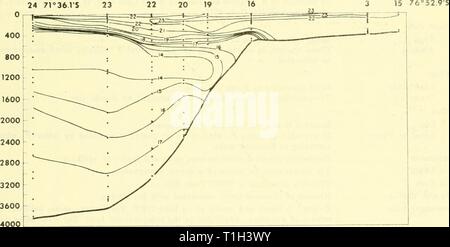 Verteilung der Nährstoffe in der Verteilung der Nährstoffe im Weddellmeer, Februar-März 1968 - Februar-März 1969 distributionofnu 00 huff Jahr: 1970 15?6°52,9 der Abbildung 16. Verteilung der vorgeformten phosnhate entlang einer Abschnitt (C) senkrecht zu Mäntel Land (IWSOE '69). Höhenlinienintervall ist 0,1/Ig-at/L. 24 7 r 36,1 S 1 A 1 I 0 N NUMtfl 20 19 16 4000 Abbildung 17. Verteilung der vorgeformten Nitrat entlang einer Abschnitt (C) senkrecht zu Mäntel Land (IWSOE '69;. Con-Tour ist 1/Ig-at/L. 13. Stockfoto