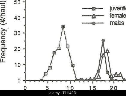 Verbreitung und Häufigkeit von Zooplankton Verteilung und Häufigkeit von Zooplankton und Mysis relicta in Flathead Lake distributionabun 1991 spen Jahr: 1991 w60 vom 2. Juli 1987 - Jugendliche - Frauen Â" â Gehilfen m Ich'!" "ri" 25 20 15 10 - 5 - 18 Sept. 1987 15 20 25 30 Stockfoto