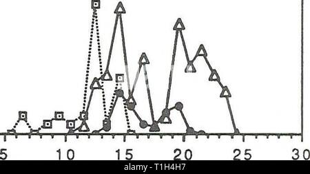 Verbreitung und Häufigkeit von Zooplankton Verteilung und Häufigkeit von Zooplankton und Mysis relicta in Flathead Lake distributionabun 1991 spen Jahr: 1991 25 30 15 20 Abbildung 3. Größe Häufigkeitsverteilung von M. relicta 1988 an der Mid-Lake Deep station in Flathead Lake gesammelt. Stockfoto