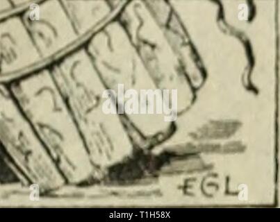 Dollar, Spaß und Komfort in Dollar, Spaß und Komfort in Obst- dollarsfuncomfor 1895 ghjh Jahr: 1895 Frage: II. & 1. H. MÄNNLICH, l III (iLAST&lt;) XHV H V, &Lt;. N ES GIBT Geld und Komfort im Spargel eine &Lt;iOOD Fruchtart für die faulen Mann, und ein sehr rentables zu den sparsamen farmei Einmal aufgebaut, dort ist; bringt aus dem Boden im frühen Frühling, und hebt den Mort-gage direkt vom Bauernhof; daher wurde aufgerufen Sffjy der Große "Hypothek Heber." Abgesehen von seinem Wert als Markt zuschneiden, es ist eine große Familie com-forter, kommen, wie es im Frühjahr, wenn der Appetit crav Stockfoto