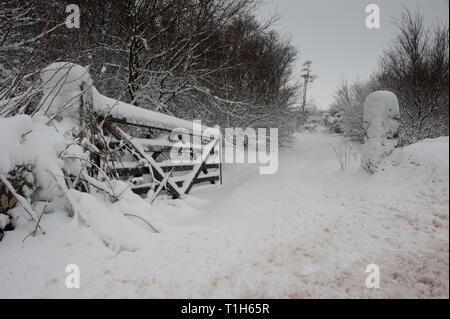 Fünf bar Gate mit Schnee bedeckt, offene Tor in das Feld Stockfoto