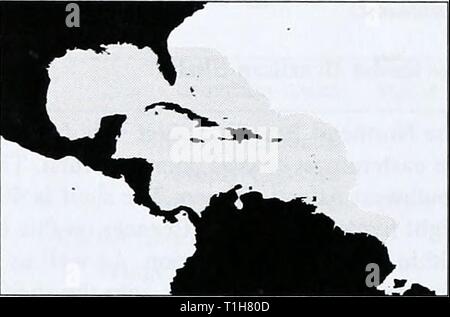 Die Vielfalt der Meere die Vielfalt der Meere: Der regionale Ansatz. WCMC Biodiversität Serie 4 diversityofseasr 96 groo Jahr: 1996 Karibik Anguilla (UK) Antigua und Barbuda, Aruba (Niederlande), Bahamas, Barbados, Belize, British Virgin Islands (UK), Cayman Islands (UK), Kolumbien, Costa Rica, Kuba, Dominica, Dominikanische Republik, Guadeloupe (Frankreich), Grenada, Guadeloupe (Frankreich), Guatemala, Guyana, Haiti, Honduras, Jamaica, Martinique (Frankreich), Mexiko, Montserrat (Vereinigtes Königreich), Niederländische Antillen (Niederlande), Nicaragua, Panama, Puerto Rico, St Christopher und Ne Stockfoto