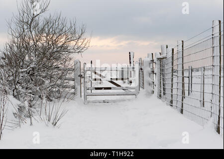 Schnee bedeckt Tor und Pfad in ländlicher Lage Stockfoto