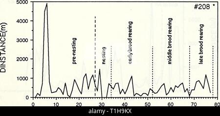 Verbreitung, Lebensraum und Verbreitung, Lebensraum Auswahl Überleben und das Überleben der transplantierten Kolumbianischen scharfe-tailed Grouse (Tympanuchus phasianellus columbianus) im Tabak Tal, Montana distributionhab 1992 fertig 0 Jahr: 1992 Abbildung 17. Diagramm der täglichen Bewegungen der weiblichen Kolumbianischen scharfe-tailed Grouse #208 In den Tabak Tal im Frühjahr 1990 transplantiert. Nachfolgende umzüge Mai - Aug. 1990 Stockfoto