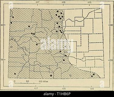 Verteilung der Säugetiere in Colorado Verteilung der Säugetiere in Colorado distributionofma 31972arme Jahr: 1972 1972 ARMSTRONG: COLORADAN SÄUGETIERE 73 Plecotus townsendii Townsend's Big-eared Bat Plecotus townsendii ist eine Pflanzenart aus der Gattung der westlichen Nordamerika, während Colorado reicht bis auf die östlichen Ebenen. Die extreme Höhe, aus denen Proben zur Verfügung stehen, ist über 9500 Meter, Gothic, Elbert County. Townsend's Big-eared Fledermausquartiere in Höhlen, Welle Minen, und gelegentlich in Gebäude. Lechleitner (1969: 52) stellte einige Einzelheiten zu den Arten, die in der Nähe von Fort Collins, aber Stockfoto