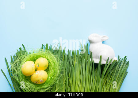 Ostern bunte Eier im Nest und Hase im Gras. Frühjahr Zusammensetzung auf Blau. Platz für Text. Stockfoto