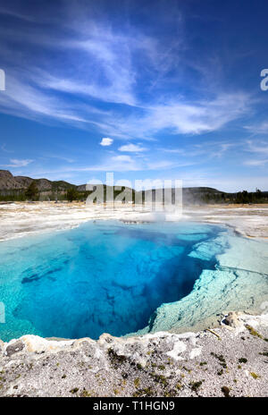 Türkis Feder, West Thumb Geyser Basin, Yellowstone National Park, Amerika. Stockfoto