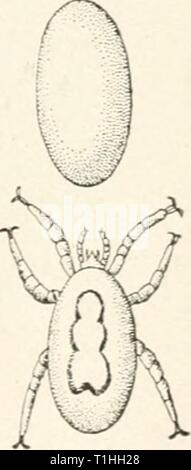 Die Krankheiten von Geflügel (1899) die Krankheiten des Geflügels diseasesofpoultr 00 salmrich Jahr: 1899 KRANKHEITEN DES GEFLÜGELS. 183 SCAHIi: S OK MANC. K DES KÖRPERS. Zwei varielies von Scabies beschrieben worden als af-fecting die Einrichtungen der domestizierten Vögeln. Eine Form hat auf Milben der Gattung Epider-moptcs und der andere ist bekannt durch den Sarcoptcs verursacht zu werden zurückgeführt. Diese Sorten werden ganz unterschiedliche werden separat beschrieben werden. Krätze, VERURSACHT DURCH EPIDERMOPTES. Die beiden Arten benannt und Epidennoptes Epidcrmoptcs bilobatus bifiircatus haben durch eine Num- ber von Autoren, und Ihre Stockfoto