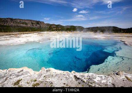 Türkis Feder, West Thumb Geyser Basin, Yellowstone National Park, Amerika. Stockfoto