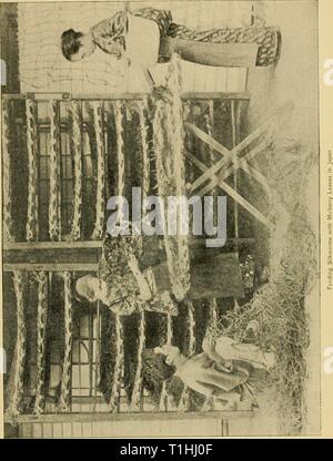 Domestizierte Tiere ihre Beziehung domestizierte Tiere: ihr Verhältnis zum Menschen und zu seinem Aufstieg in der Zivilisation domesticatedanim 00 shal Jahr: 1895 Stockfoto