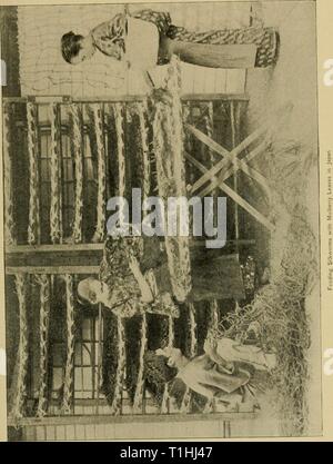 Domestizierte Tiere, ihrer Beziehung zu den domestizierten Tieren, ihrer Beziehung zu den Menschen und zu seiner Weiterentwicklung in der Zivilisation; domesticatedanim 01 shal Jahr: 1895 Stockfoto