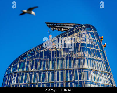 Steeplejacks on One Blackfriars London - die Mitarbeiter der Steeplejack-Instandhaltung hängen an einem Blackfriars, auch bekannt als The Vase oder Boomerang, auf Londons Southbank ab. Stockfoto