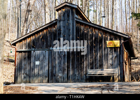 Sugar shack in Maple sugar Bush Ontario Kanada Stockfoto