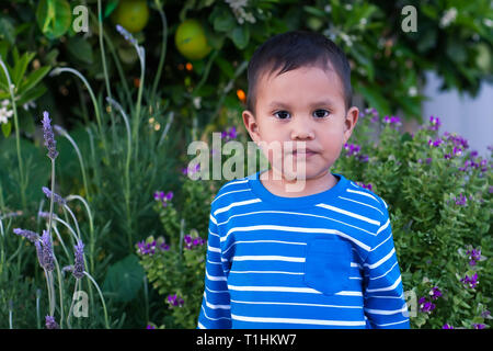 Zwei Jahre alten Jungen mit ernstem Gesichtsausdruck stand vor der Frühling Blumen in einem natürlichen Garten. Stockfoto