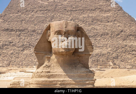 Spinx Gesicht auf der Pyramide von Gizeh, Kairo, Ägypten Stockfoto