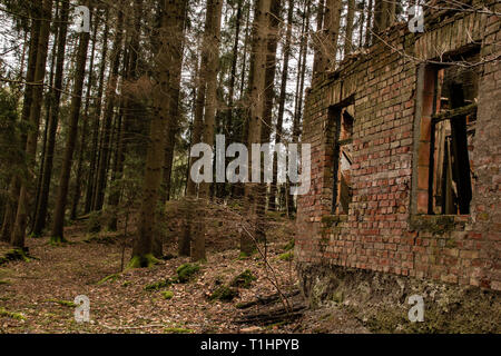 Alte Ruine eines kleinen Haus im Wald Stockfoto