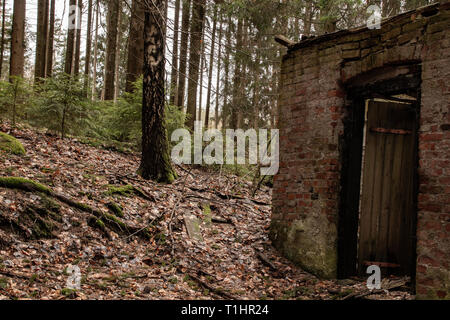 Alte Ruine eines kleinen Haus im Wald Stockfoto