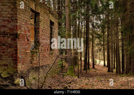 Alte Ruine eines kleinen Haus im Wald Stockfoto