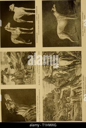 Der Hund Der Hund buchen Buchen Sie: eine populäre Geschichte des Hundes, mit praktischen Informationen über die Pflege und Verwaltung von Haus, Zwinger, und Ausstellung Hunde; und Beschreibungen aller wichtigen Rassen dogbookpopularhi 02 wats Jahr: 1906 Stockfoto