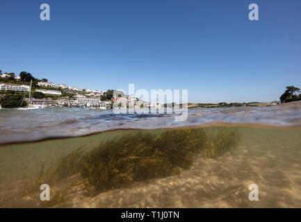 Ein Schuss von Salcombe Mündung während des Sommers mit Cliff House in der Ferne und Algen wellenartig über unter den Wellen. Stockfoto