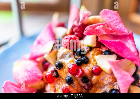 Makro Nahaufnahme von rosa bunte Teller mit Eis aufgefüllt mit lebendigen rose Blumenblätter roten Himbeeren Obst Salat Dessert Stockfoto