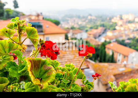 Chiusi Scalo Häuser Gebäude in Italien Toskana mit Stadt Stadtbild und rote Blumen im Garten Vordergrund konzentrieren Stockfoto