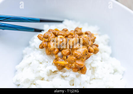 Closeup Makro von Paar Stäbchen auf Asiatisch Japanisch natto fermentierte Soja dish Meal klebrige schleimigen Textur in schlichtem Weiß gedämpftem Reis in der Schüssel Stockfoto