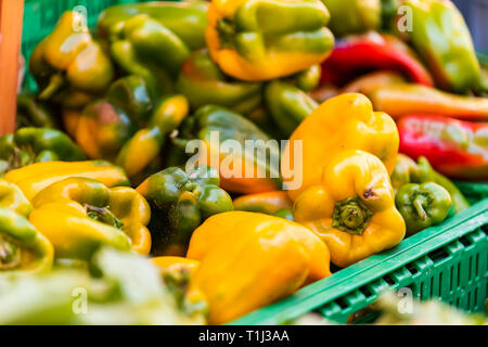 Nahaufnahme von vielen grün gelb Reife große gelbe grüne Tomaten auf Anzeige Farmers Market shop shop Supermarkt Supermarkt in Feld Kiste in Italien Stockfoto