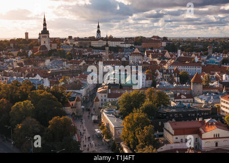 Ein Blick über die historische Altstadt von Tallinn, Estland, während einer Herbst Sonnenuntergang Stockfoto