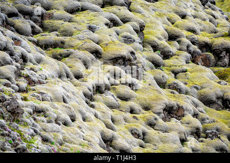 Lavafeld formen in Island Nahaufnahme von Gelb Grün hell Moos bedeckt Felsen oder Steine in den südlichen Ring Road, Muster und Strukturen Stockfoto