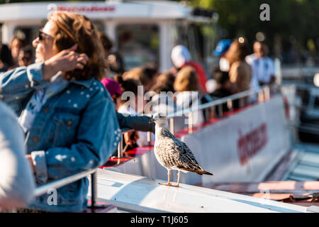 London, Großbritannien, 22. Juni 2018: Viele Touristen in Boat Cruise Ship tour sitzen auf der Themse mit Möwe Stockfoto