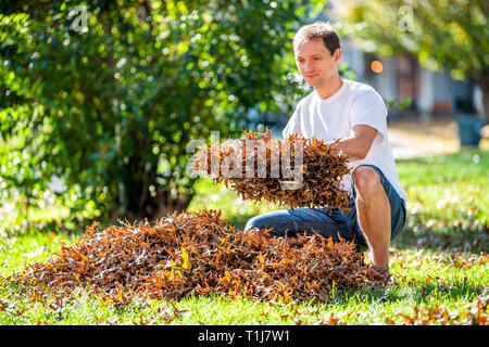 Junger Mann Hausbesitzer Sitzen im Garten Garten Garten harken trockenen Herbst Laub Eichenlaub Platzierung mit Rechen im sonnigen Herbst Stockfoto