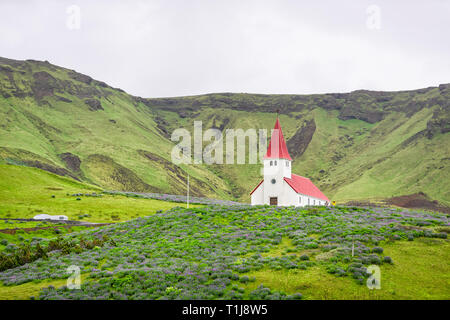 Querformat von Green Mountain an bewölkten Tag südliche Ringstraße oder Golden Circle und roten Dach Kirche in Vik Stadt Dorf mit Lupin Blumen in Summ Stockfoto