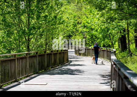 Atlanta, USA - 20. April 2018: Man Walking pitbull mutt und Maltesische flauschige Hund auf der Promenade der Stadt urban Piedmont Park im Sommer mit grünen Bäumen fol Stockfoto