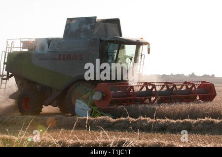 Mähdrescher Ernte von Gerste Stockfoto